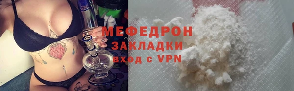 индика Елабуга