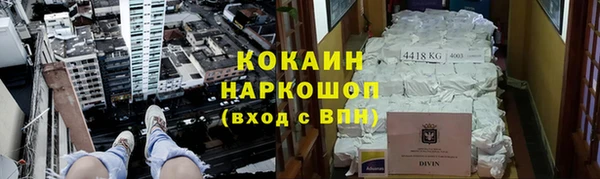 ешки Богданович