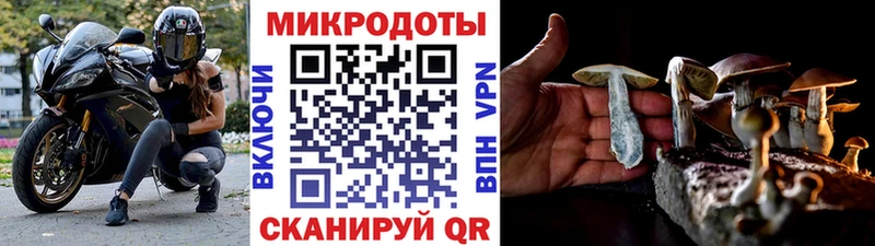 Псилоцибиновые грибы Cubensis  цена наркотик  Волгореченск 